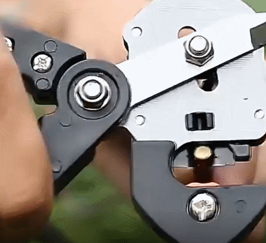 FOARFECĂ DE GRĂDINĂ