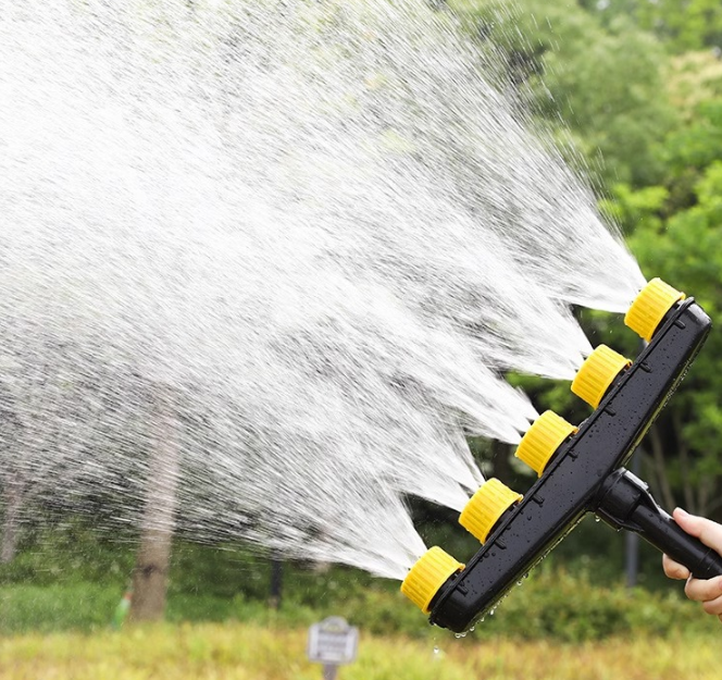 Garden sprayer with professional water dispenser