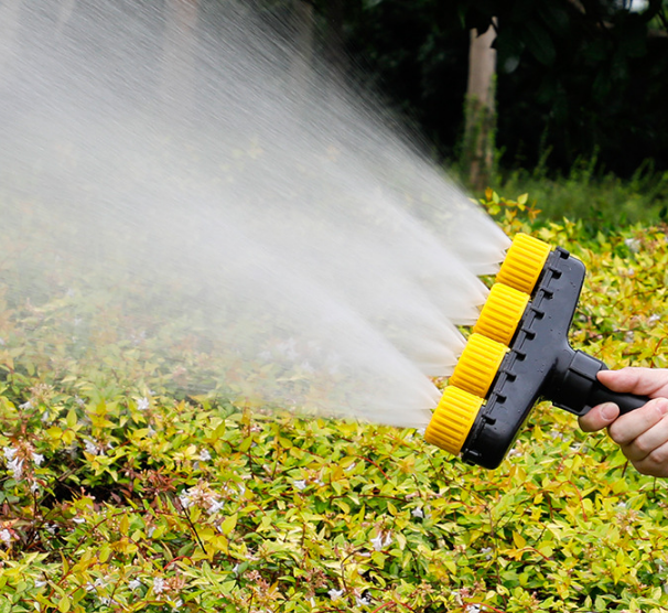 Garden sprayer with professional water dispenser