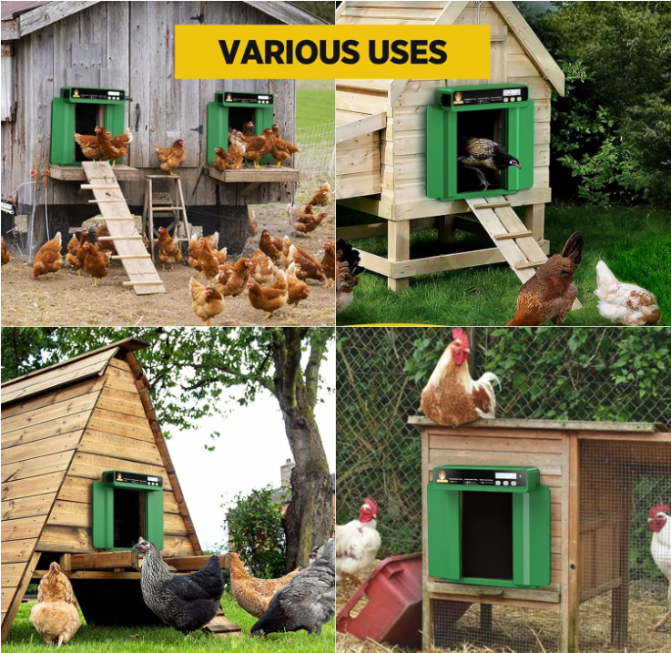 🐔New arrivals!Automatic Chicken Coop Door 🎁 SHOP NOW!