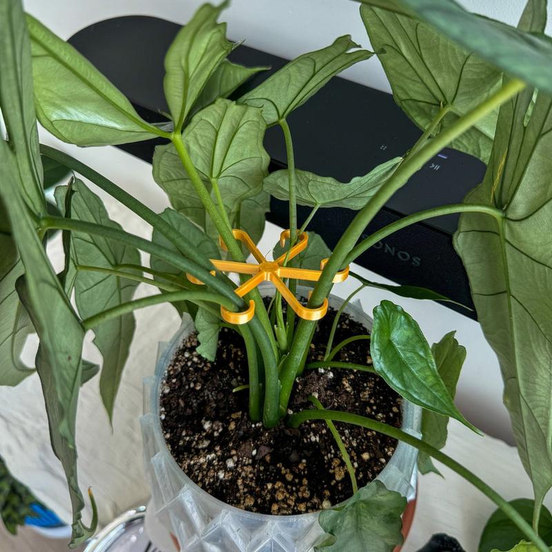 Plant Stem Supports for Supporting Plant Growth