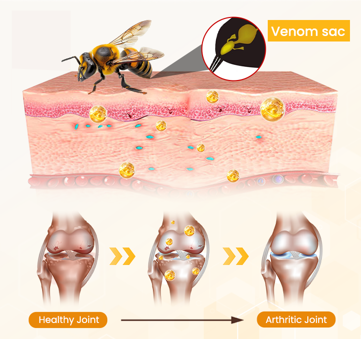 BeeVenom Joint Repair Cream