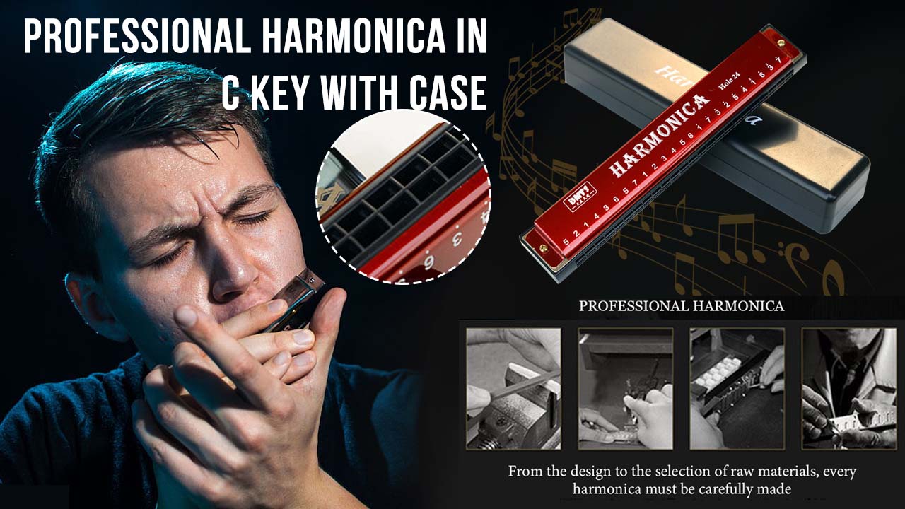 Profesionální harmonika v tónu C s pouzdrem