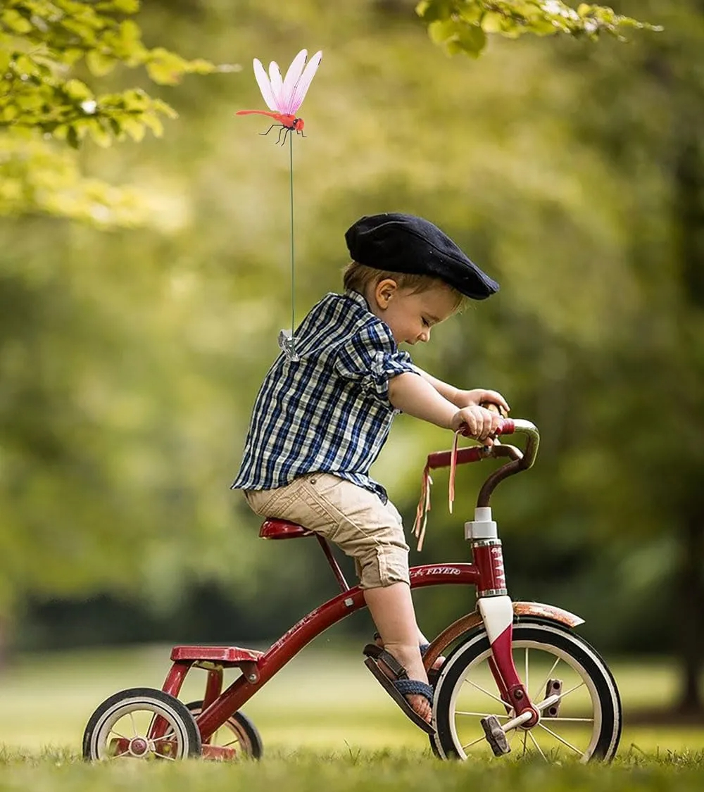 2026 Summer Hot Sale 49% OFF🔥Dragonfly Clip Bug Repe Llent