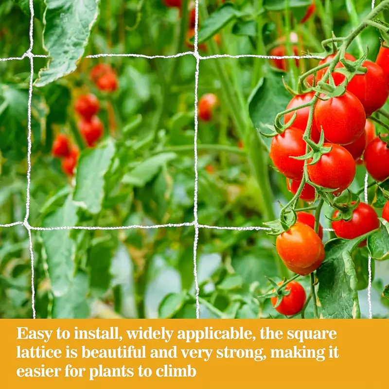 Garden Plant Climbing Net, DIY Plant Stand (1.67x5m)