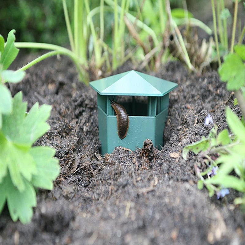 The Snail Trap - Ready for a garden without killer slugs