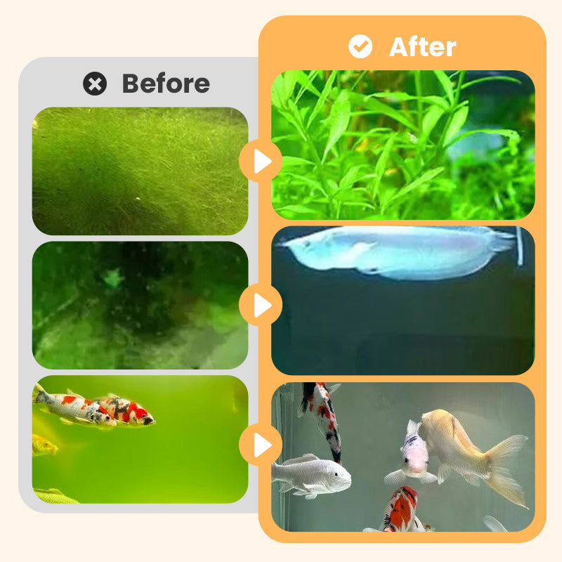 🎉 Algae & Moss Remover for Fish Tank - Safe Water Purification