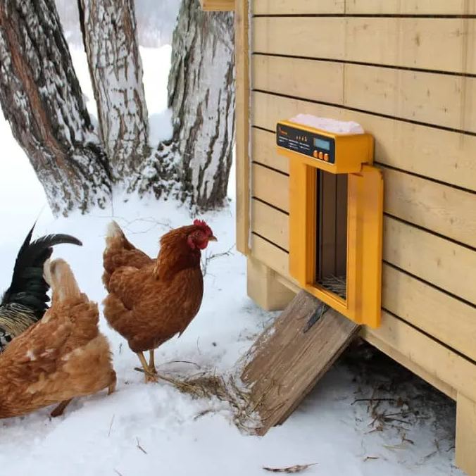 New arrivals!Automatic Chicken Coop Door 🎁 SHOP NOW!