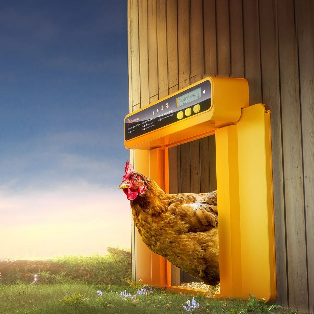 New arrivals!Automatic Chicken Coop Door 🎁 SHOP NOW!