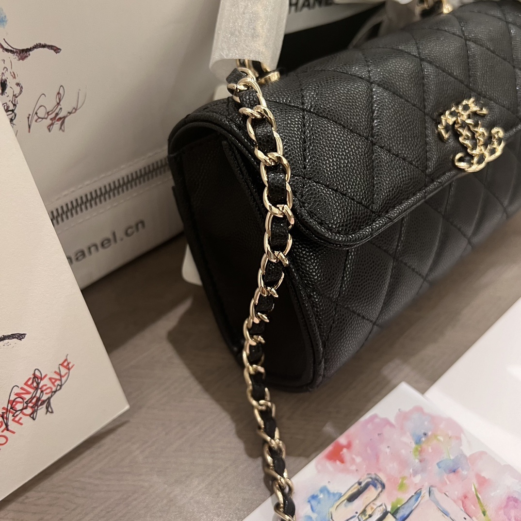 Chanel 23P Kelly Bag
