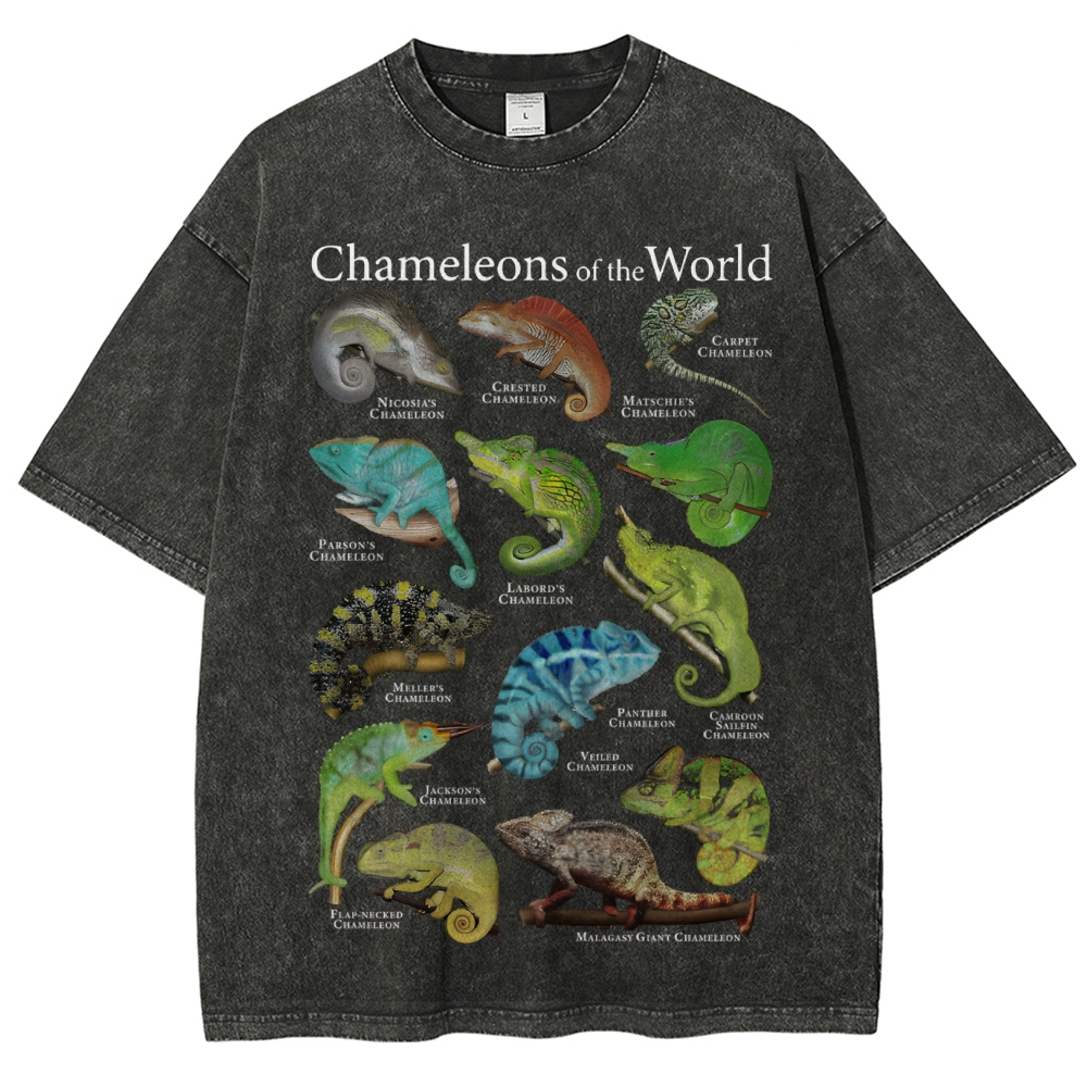 Chameleons Of The World Unisex Vintage Washed Tee