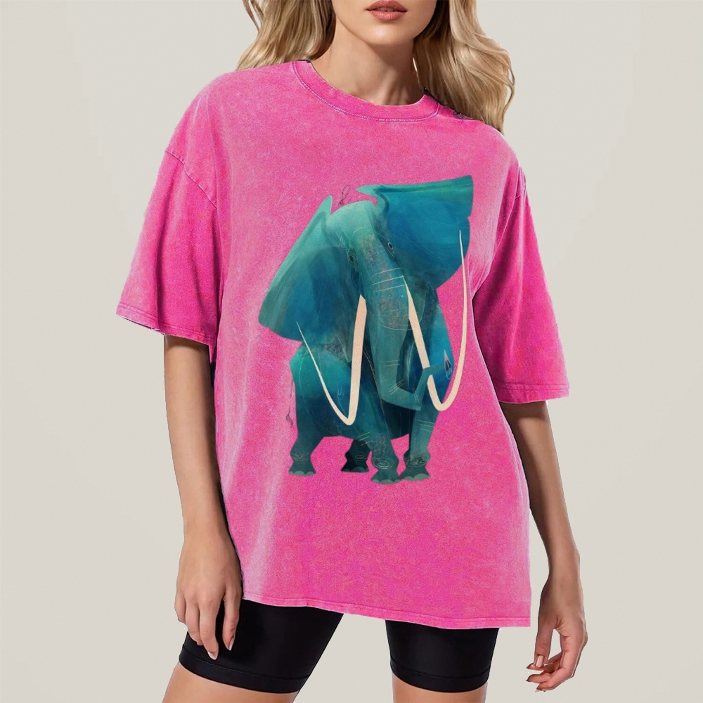 Big Elephants Unisex Vintage Washed Tee