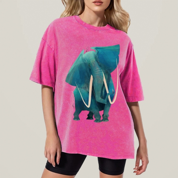 Big Elephants Unisex Vintage Washed Tee