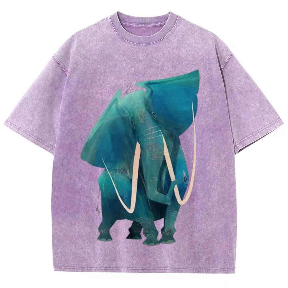 Big Elephants Unisex Vintage Washed Tee