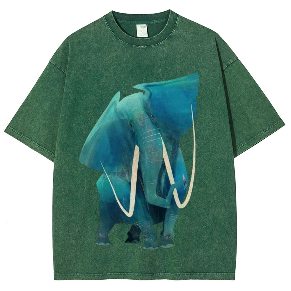 Big Elephants Unisex Vintage Washed Tee