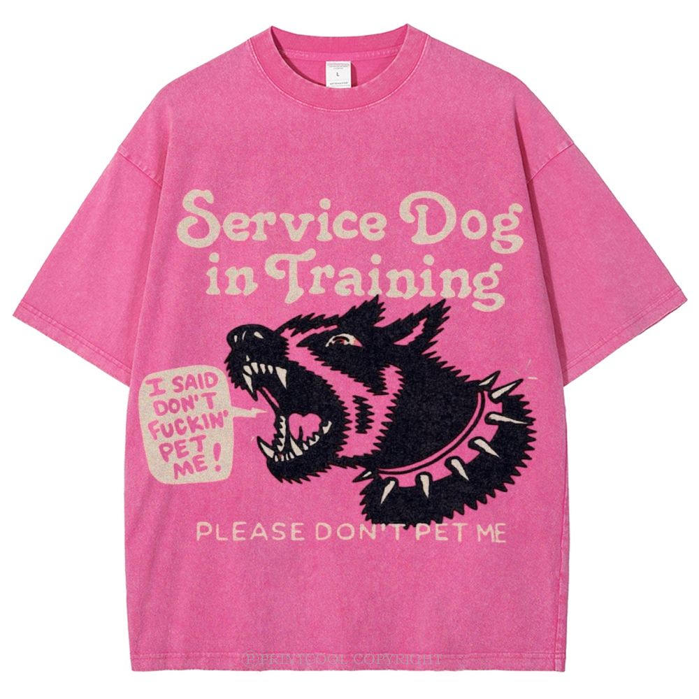 Service Dog Is Training Unisex Vintage Washed Tee