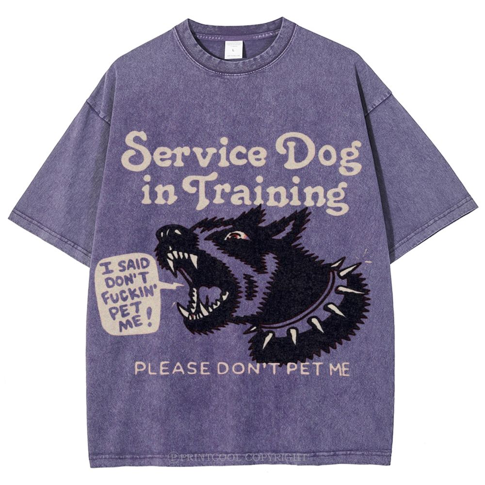Service Dog Is Training Unisex Vintage Washed Tee