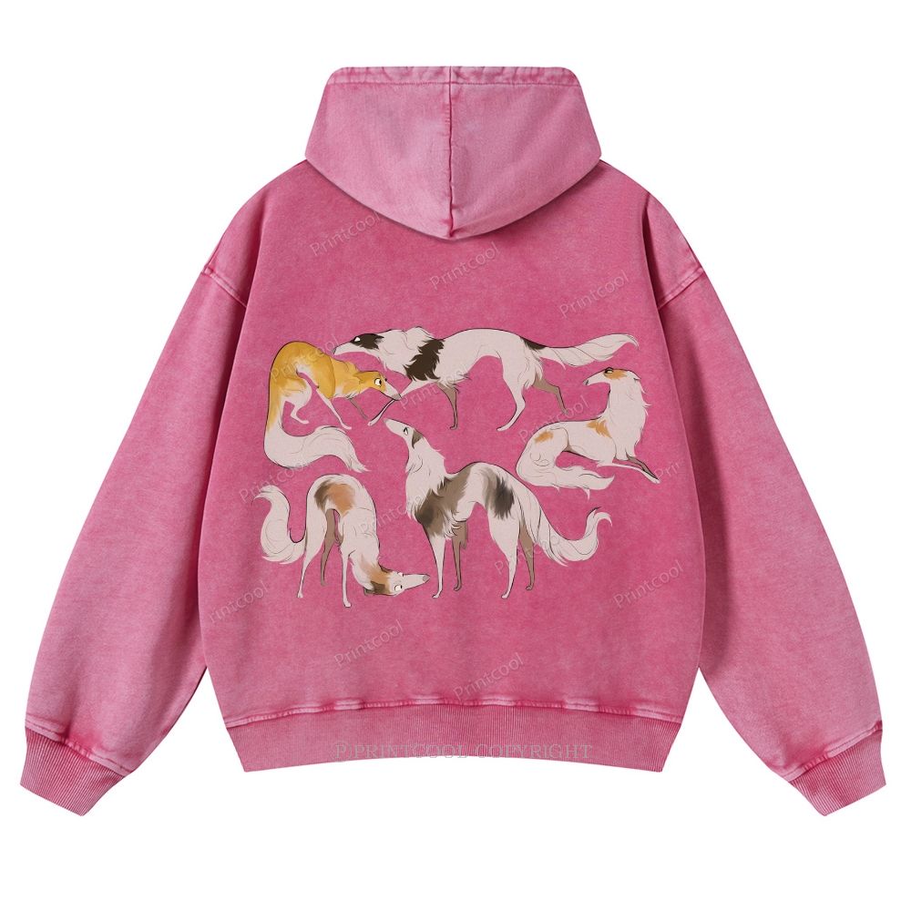 Borzoi Dogs In Various Poses Casual Washed Hoodie