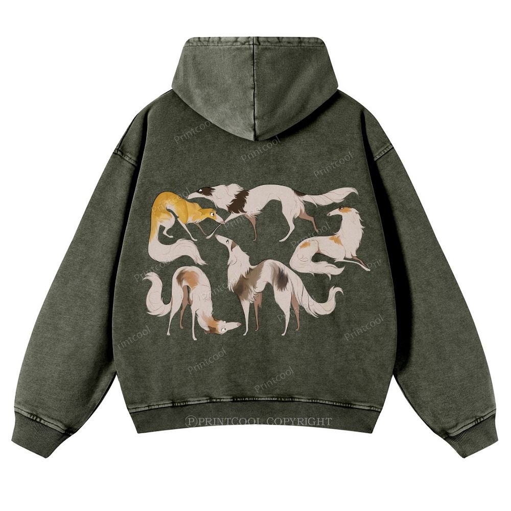 Borzoi Dogs In Various Poses Casual Washed Hoodie