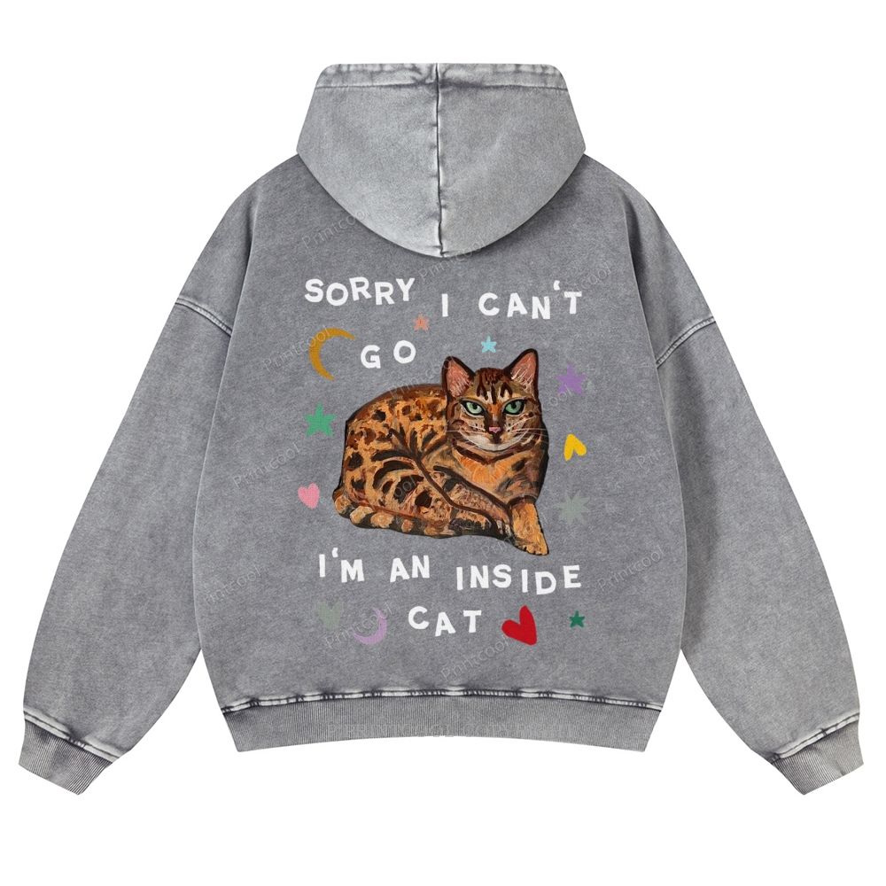 I'm A Inside Cat Casual Washed Hoodie