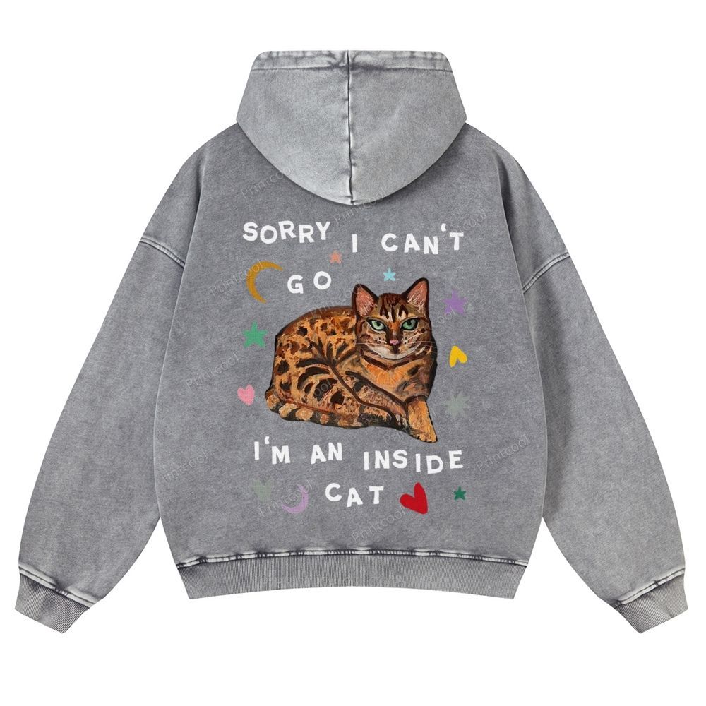 I'm A Inside Cat Casual Washed Hoodie