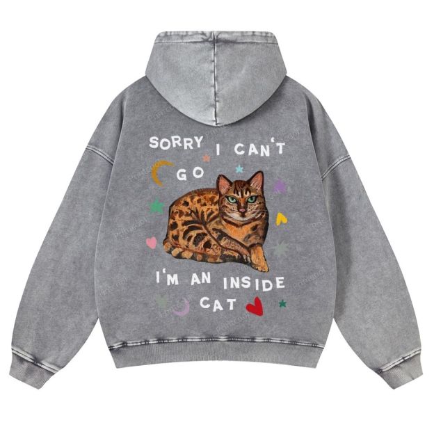 I'm A Inside Cat Casual Washed Hoodie