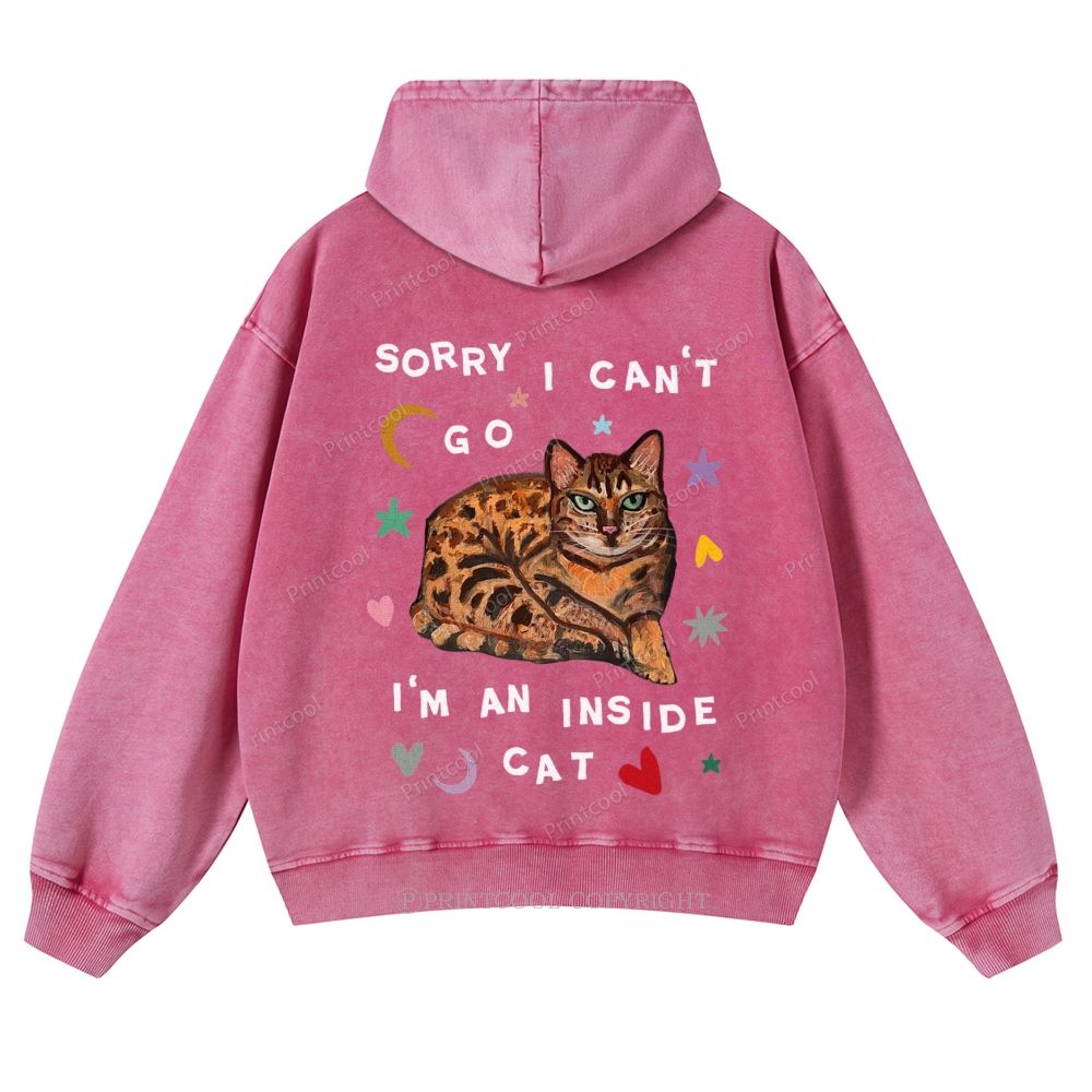 I'm A Inside Cat Casual Washed Hoodie