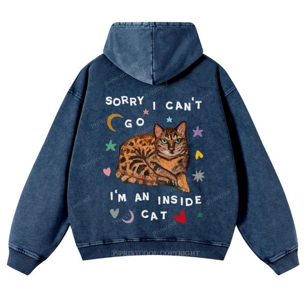 I'm A Inside Cat Casual Washed Hoodie