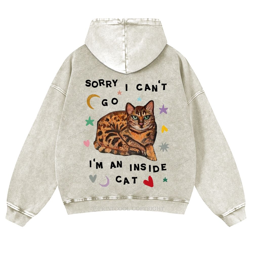 I'm A Inside Cat Casual Washed Hoodie