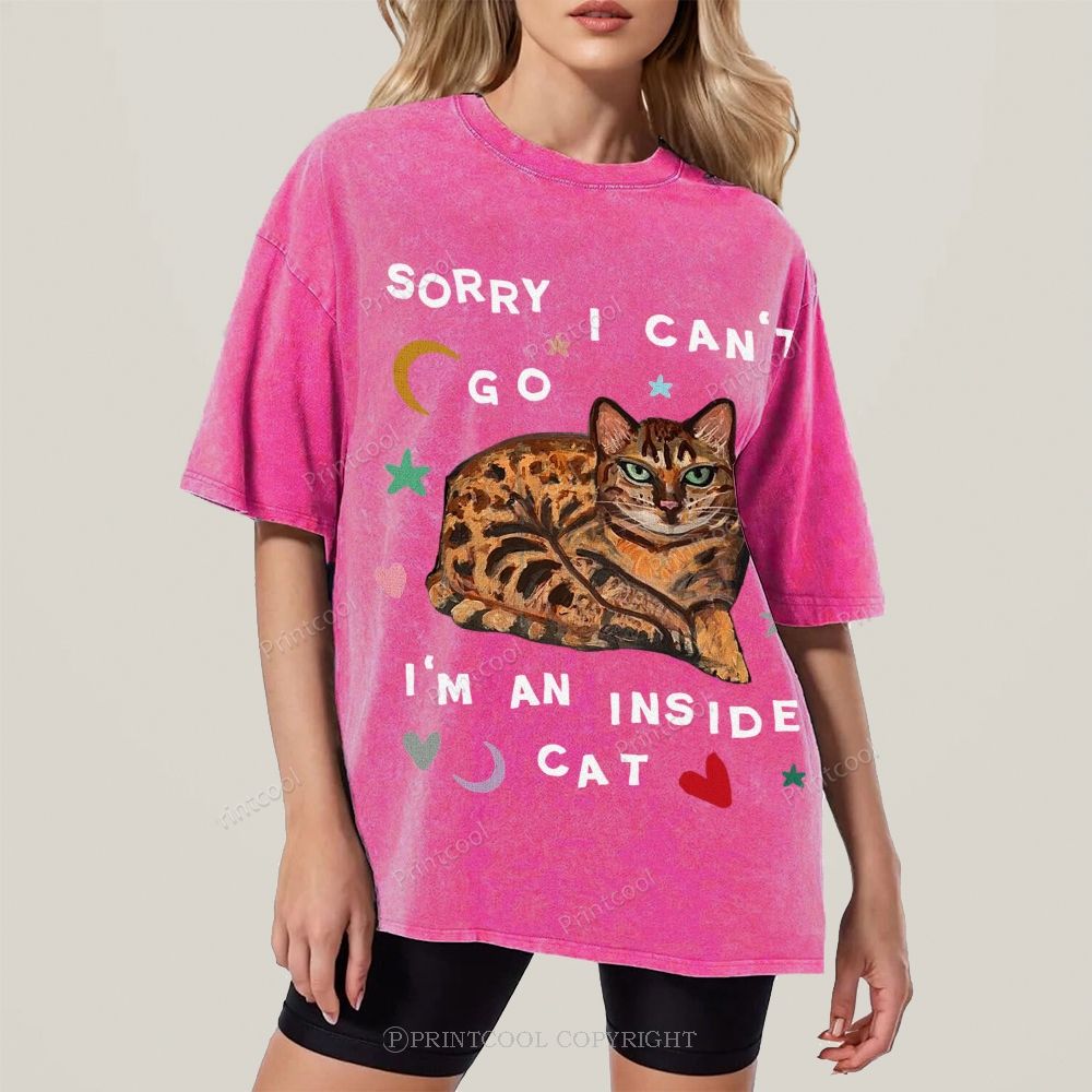 I'm A Inside Cat Unisex Vintage Washed Tee