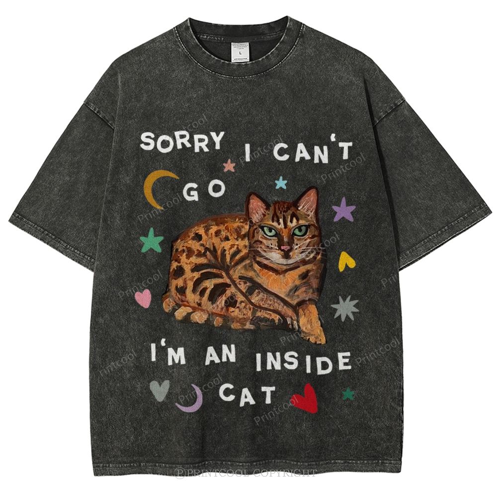 I'm A Inside Cat Unisex Vintage Washed Tee