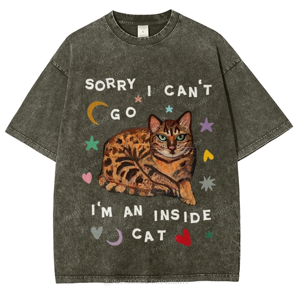 I'm A Inside Cat Unisex Vintage Washed Tee