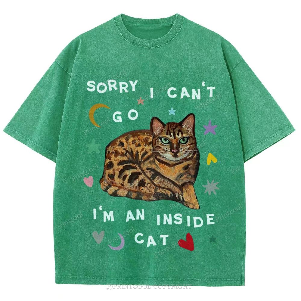 I'm A Inside Cat Unisex Vintage Washed Tee