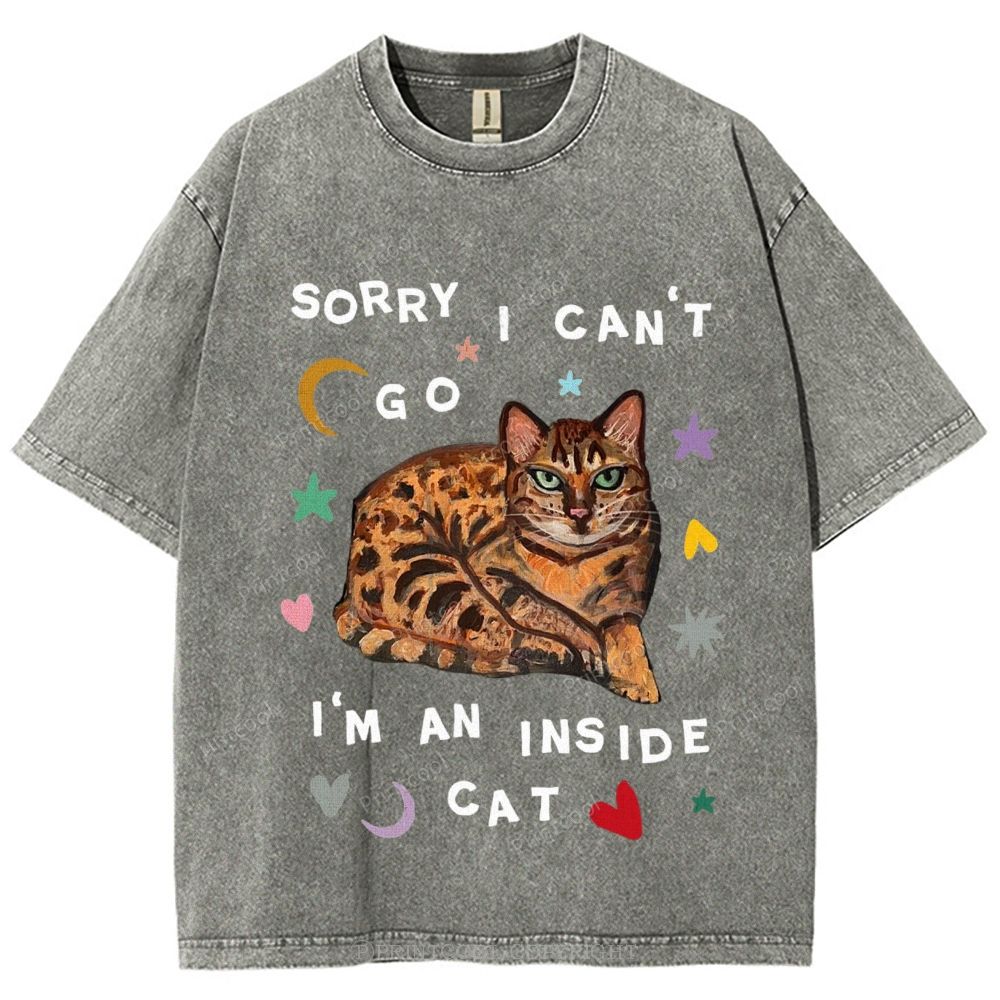 I'm A Inside Cat Unisex Vintage Washed Tee