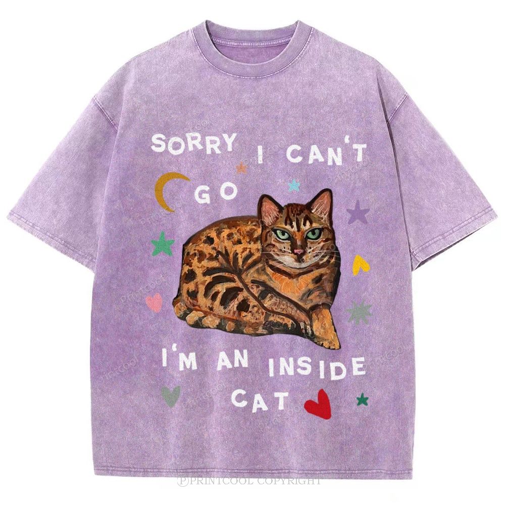 I'm A Inside Cat Unisex Vintage Washed Tee