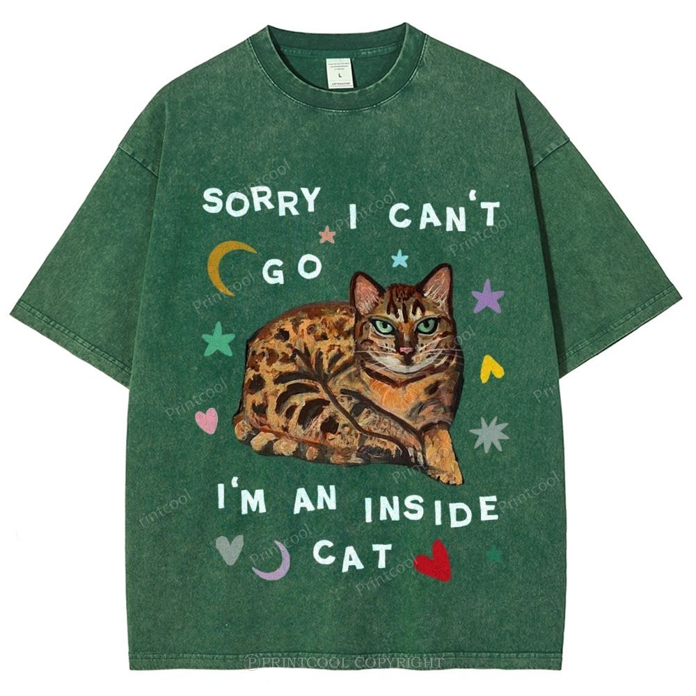 I'm A Inside Cat Unisex Vintage Washed Tee