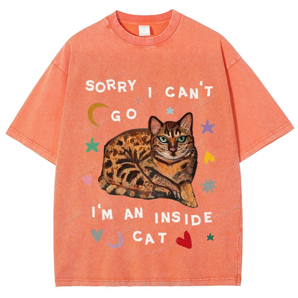 I'm A Inside Cat Unisex Vintage Washed Tee