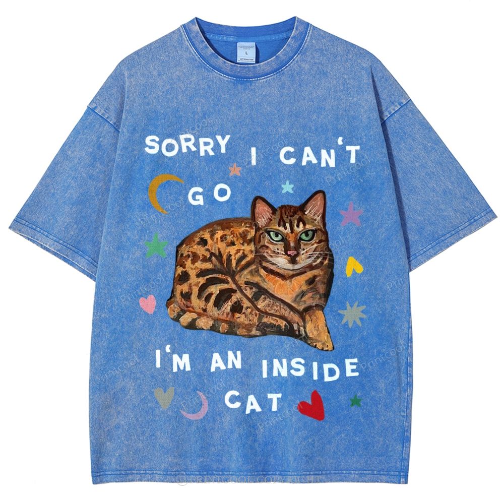 I'm A Inside Cat Unisex Vintage Washed Tee