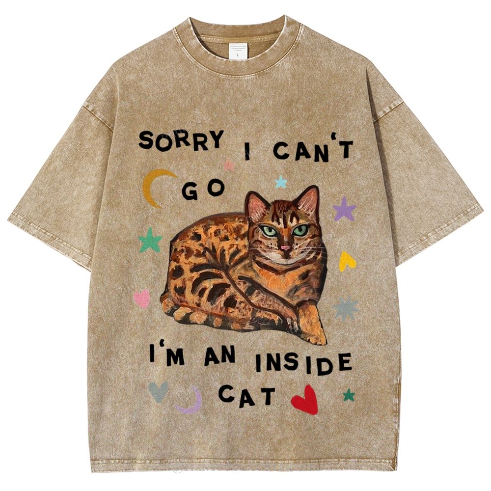 I'm A Inside Cat Unisex Vintage Washed Tee
