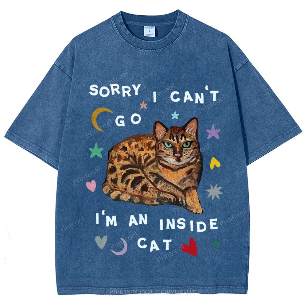 I'm A Inside Cat Unisex Vintage Washed Tee