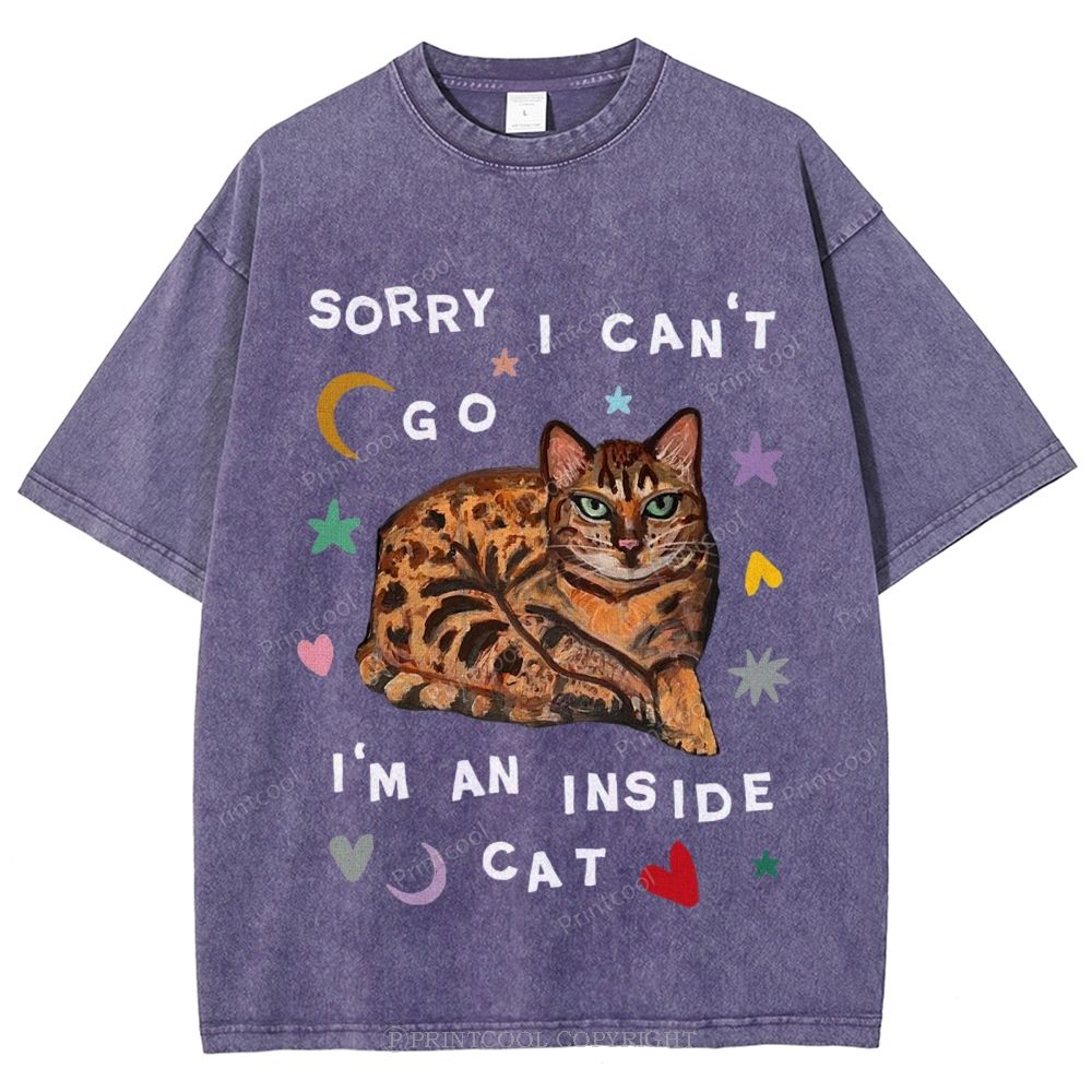 I'm A Inside Cat Unisex Vintage Washed Tee