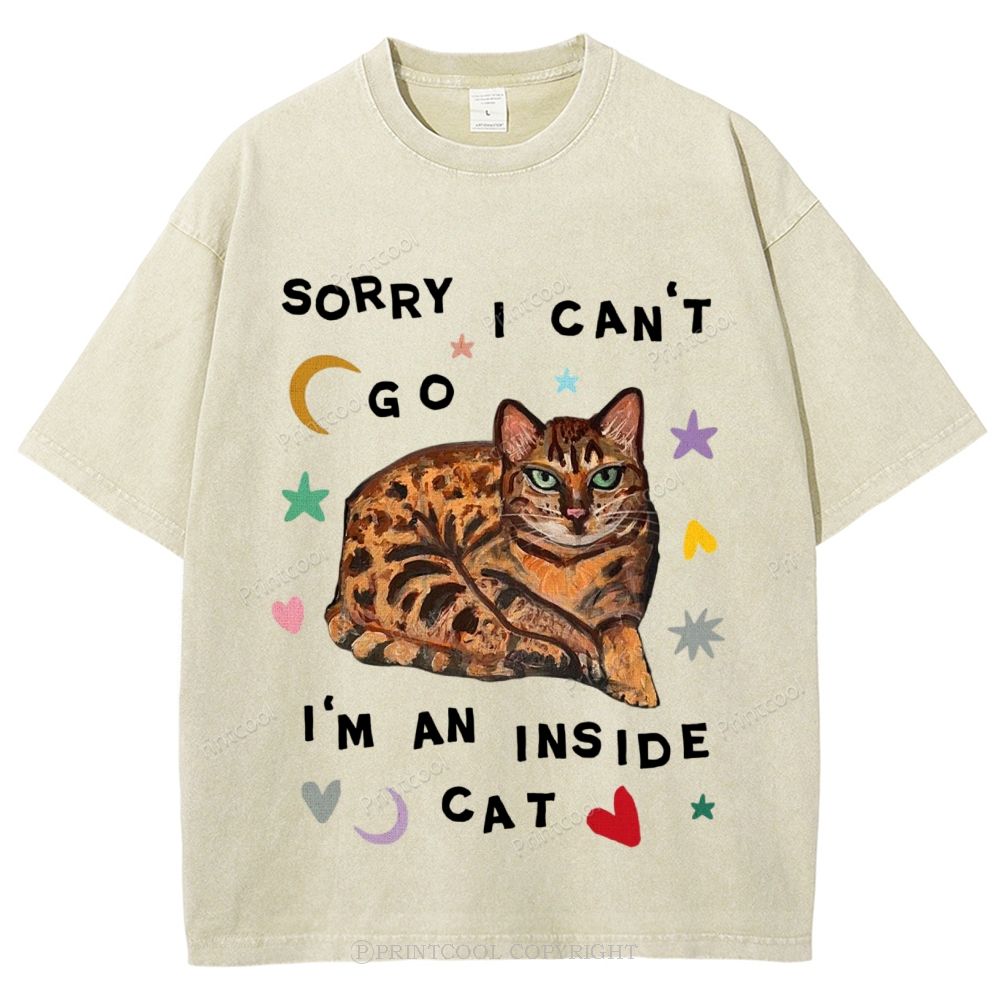 I'm A Inside Cat Unisex Vintage Washed Tee