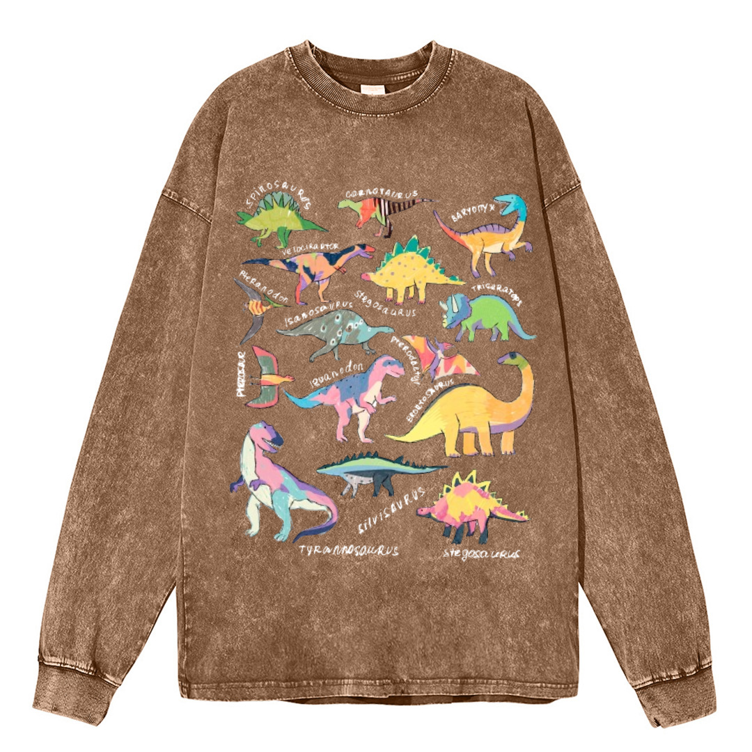 Types Of Dinosaur Unisex Casual Washed Printed Long Sleeve T-shirt