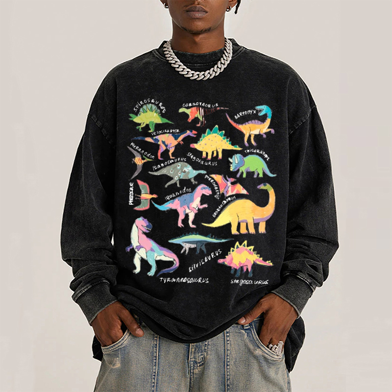 Types Of Dinosaur Unisex Casual Washed Printed Long Sleeve T-shirt
