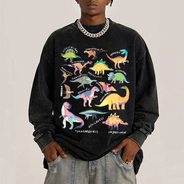 Types Of Dinosaur Unisex Casual Washed Printed Long Sleeve T-shirt