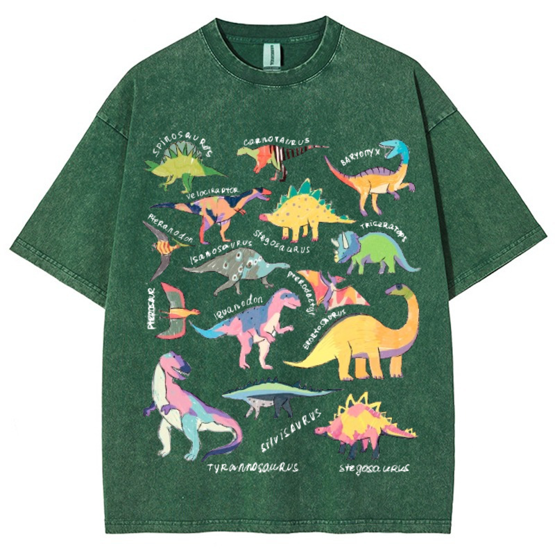 Types Of Dinosaur Vintage Snowflake Washed T-Shirt