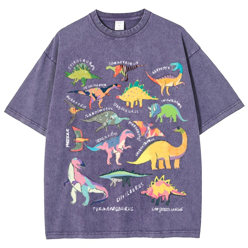Types Of Dinosaur Vintage Snowflake Washed T-Shirt