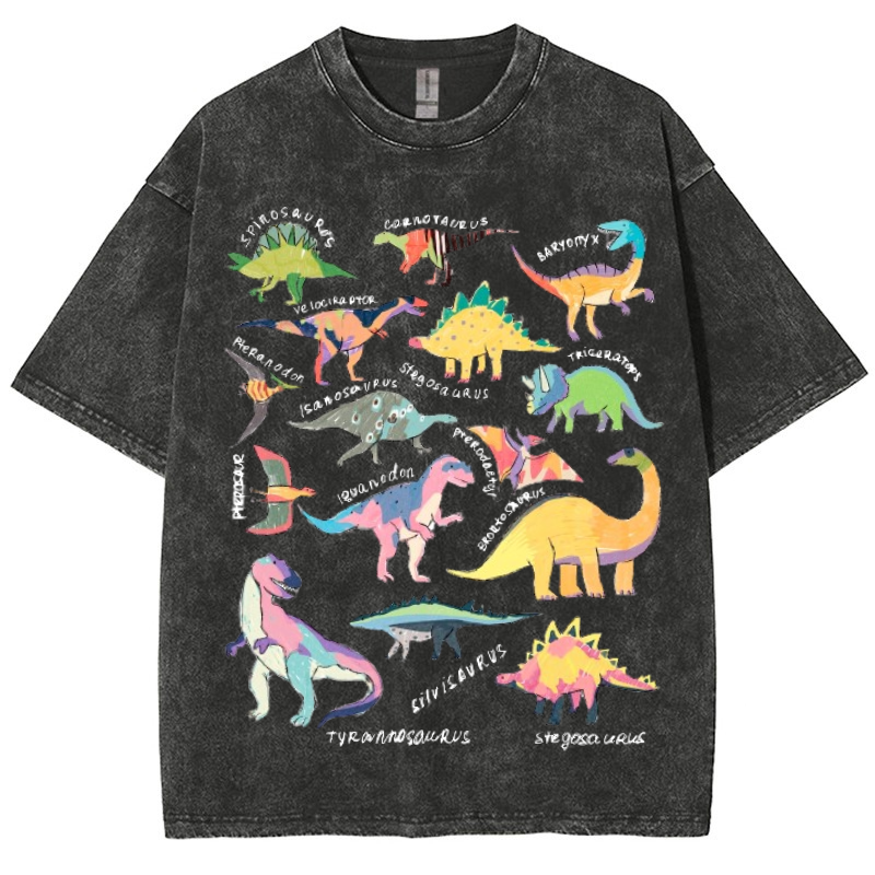 Types Of Dinosaur Vintage Snowflake Washed T-Shirt