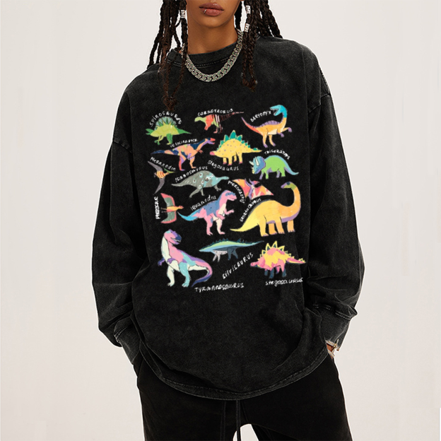 Types Of Dinosaur Unisex Casual Washed Printed Long Sleeve T-shirt