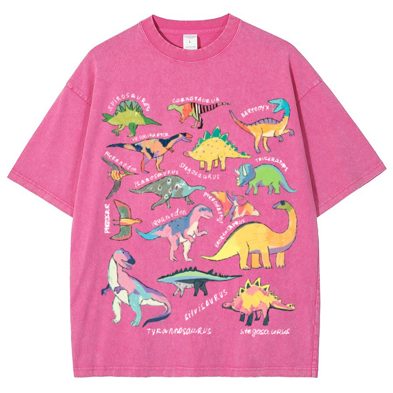 Types Of Dinosaur Vintage Snowflake Washed T-Shirt